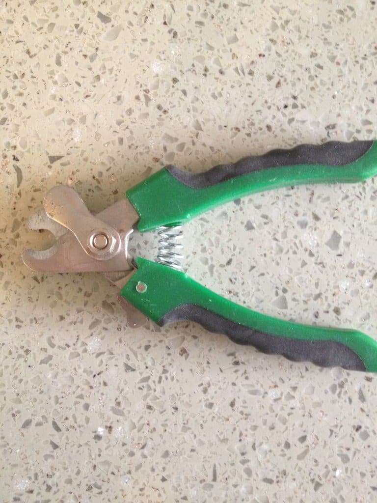 Scissor-style nail clippers for dogs